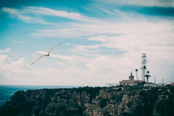 dove and lighthouse